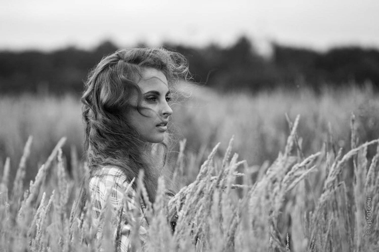 поле, Вячеслав Потёмкин