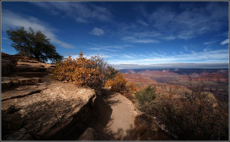 Осеньphoto preview