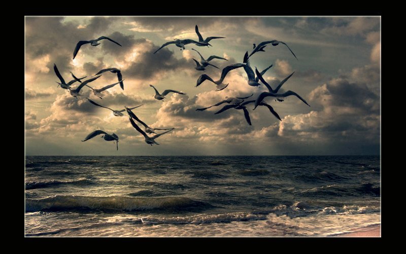 *** И дышать Ею буду век.. ***photo preview