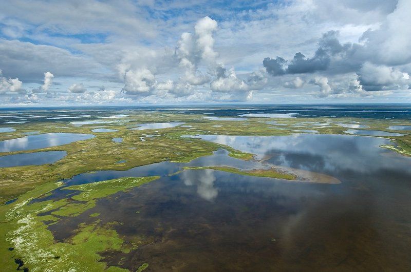 Ямальские просторыphoto preview