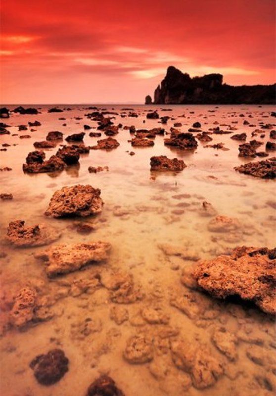 Phi Phi islandphoto preview