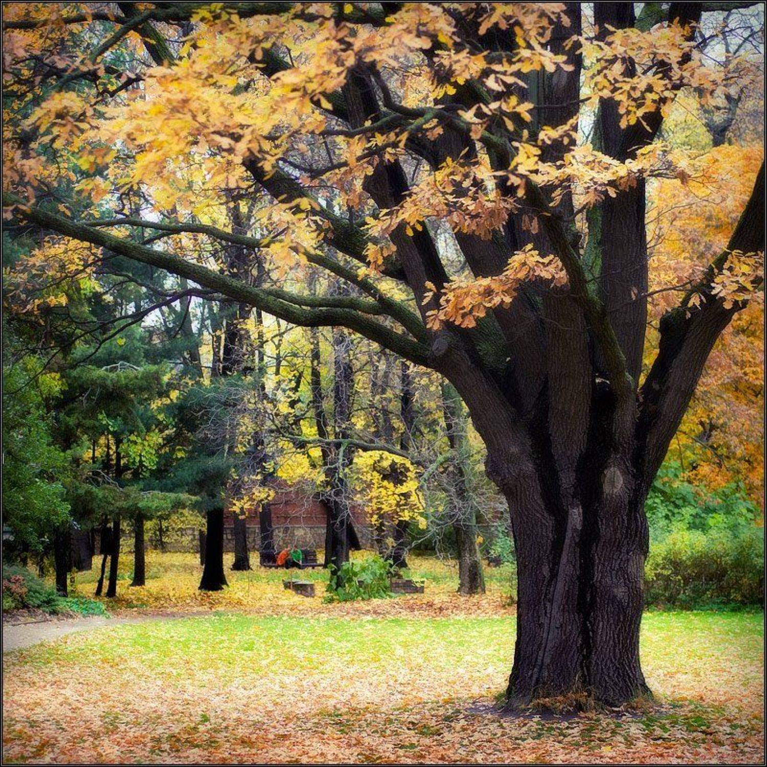 , Андрей Житков