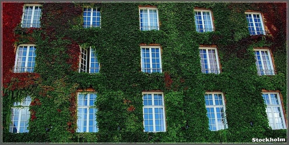 стокгольм,швеция,скандинавия,город, Елена