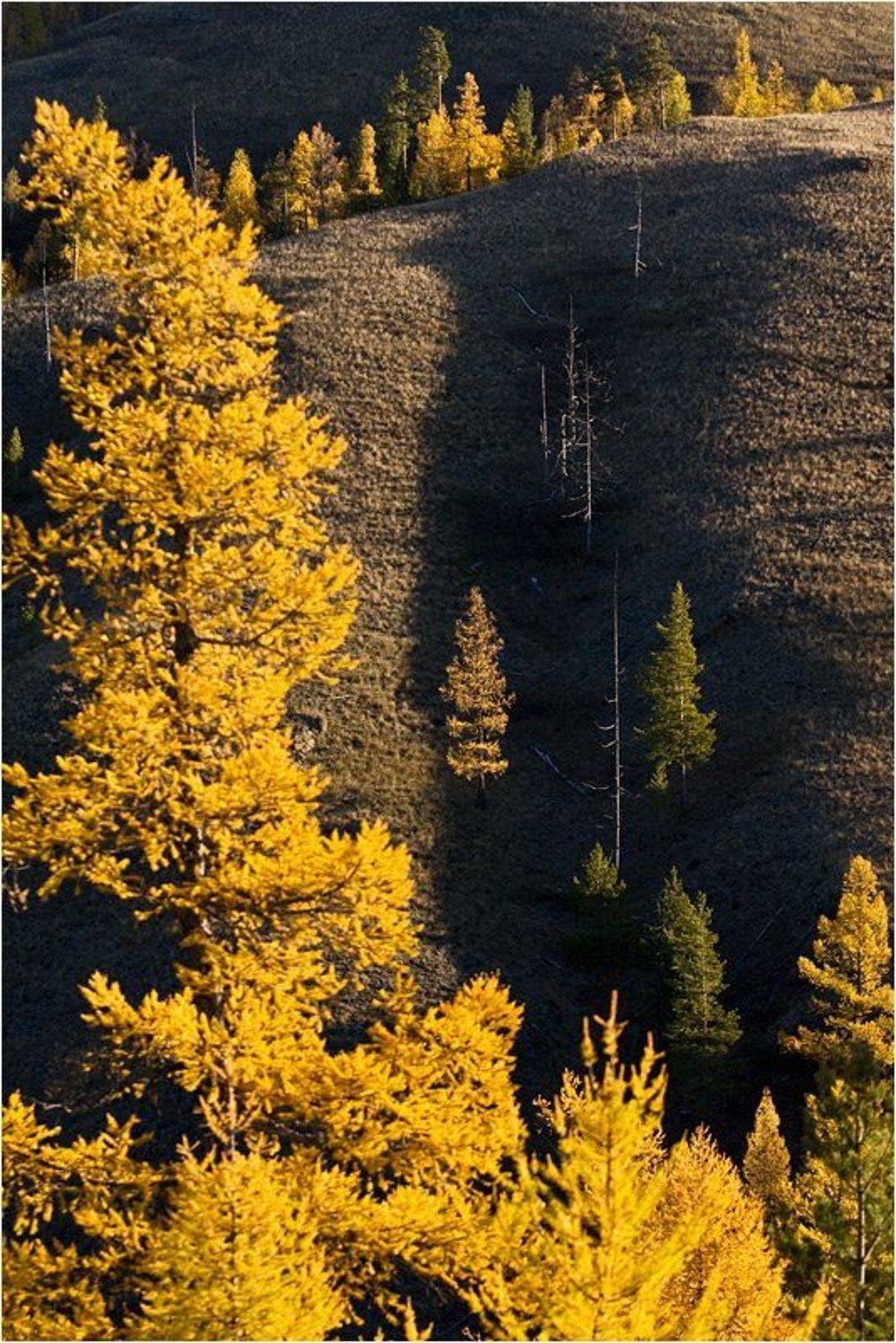 , Степанов Сергей