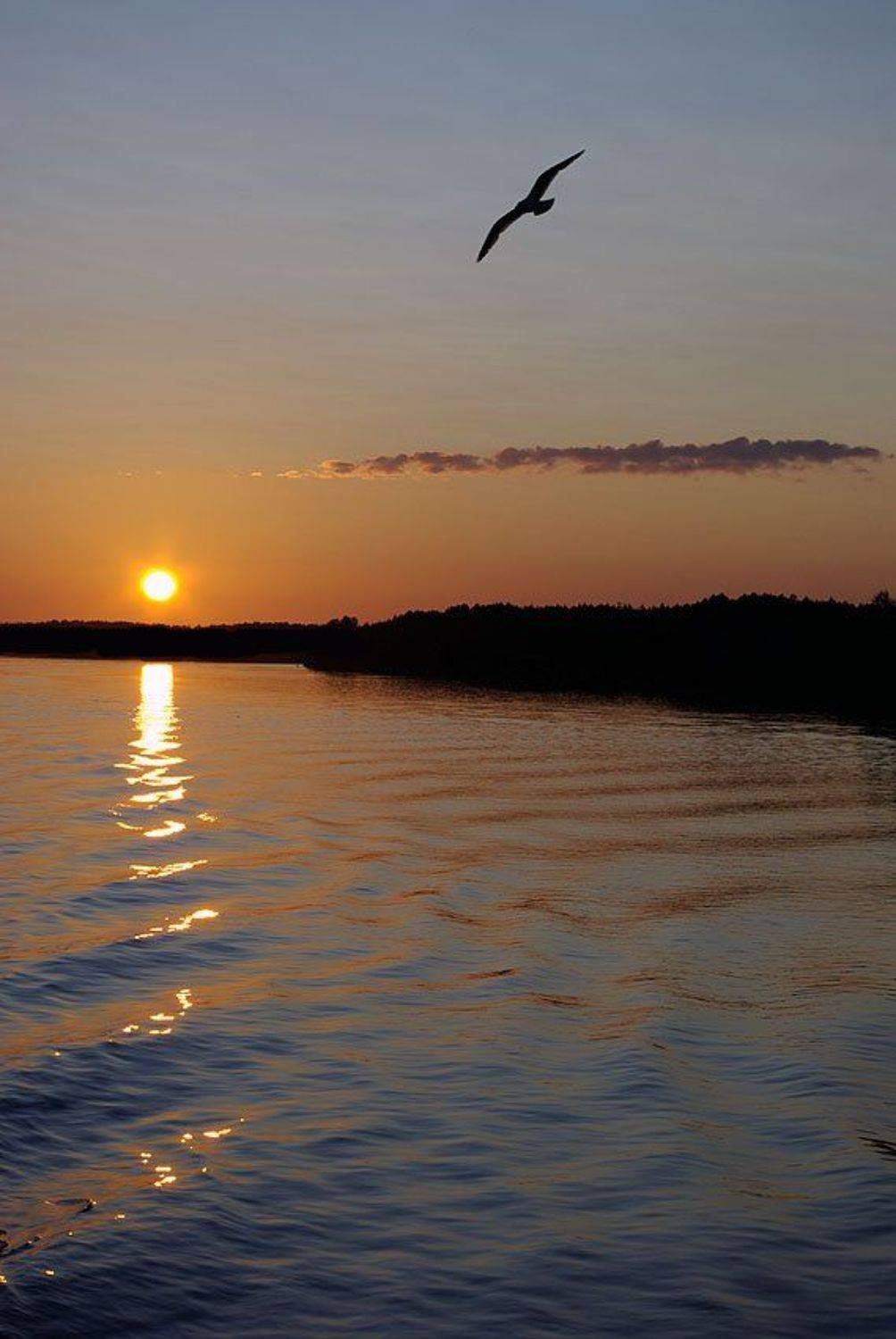Закат на реке Свирь. Автор: Солодухин Виктор река,закат, Солодухин Виктор