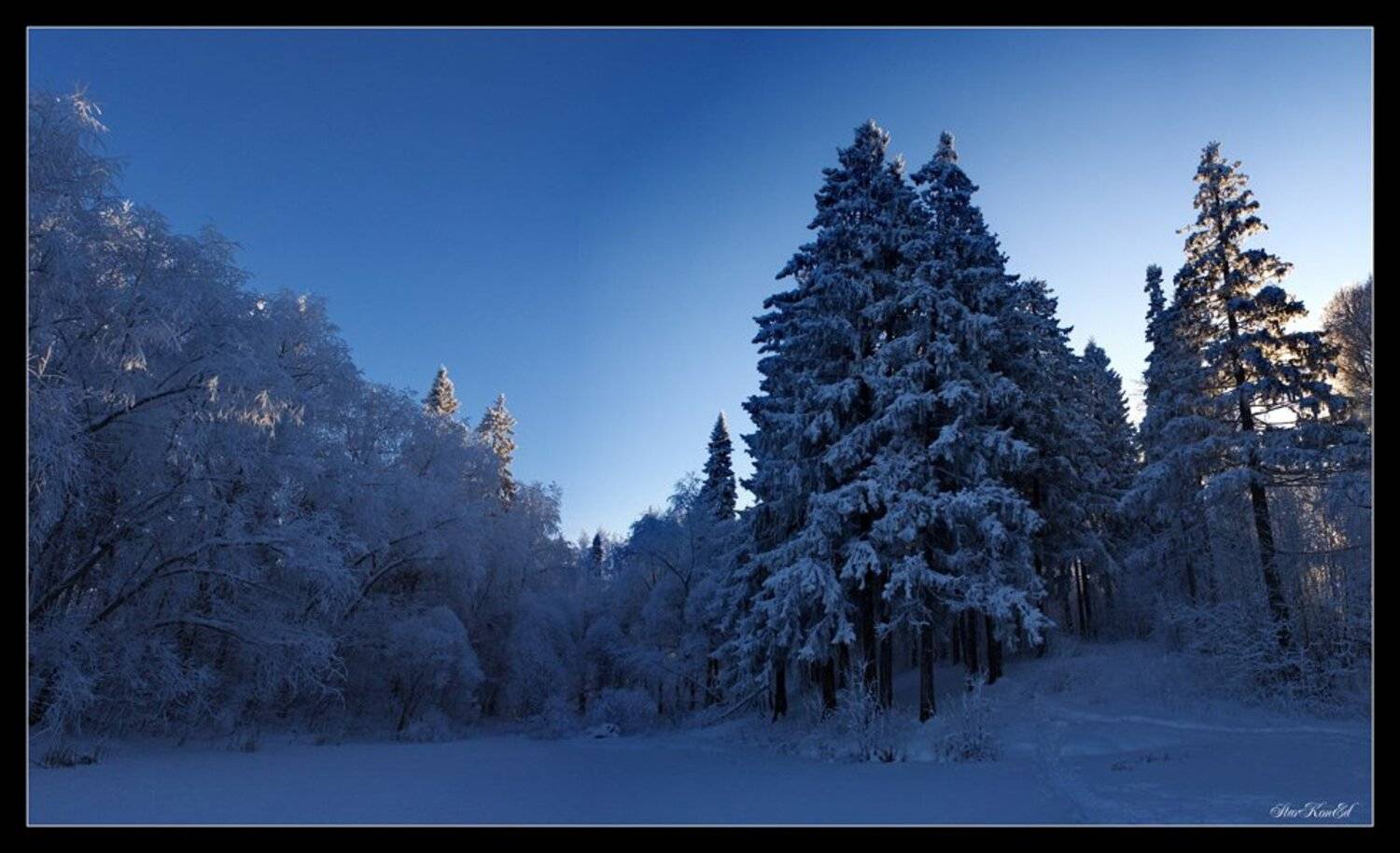 , Константин Стародубцев