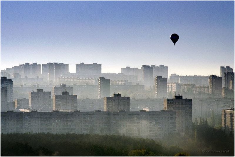 Шарик...photo preview