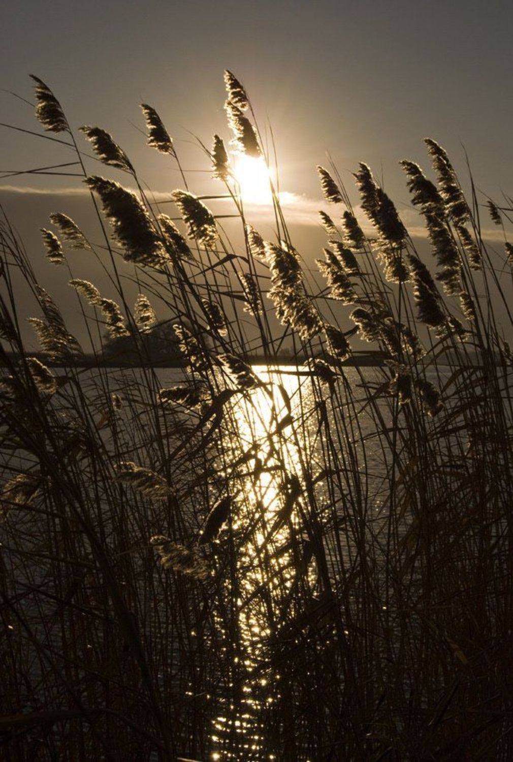 Осенний рассвет. Автор: drug , drug