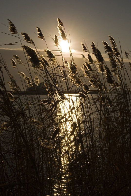 Осенний рассветphoto preview