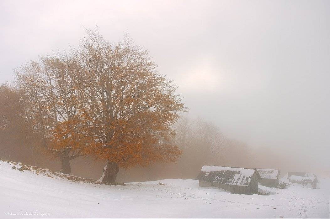 Зимо-осень. Автор: Kolebidenko Vladimir карпаты, горы, украина, Kolebidenko Vladimir