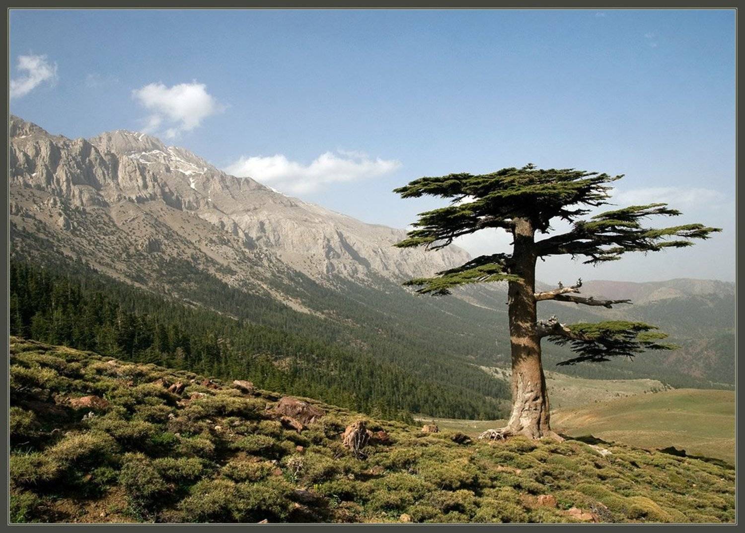 , Иван Жданов