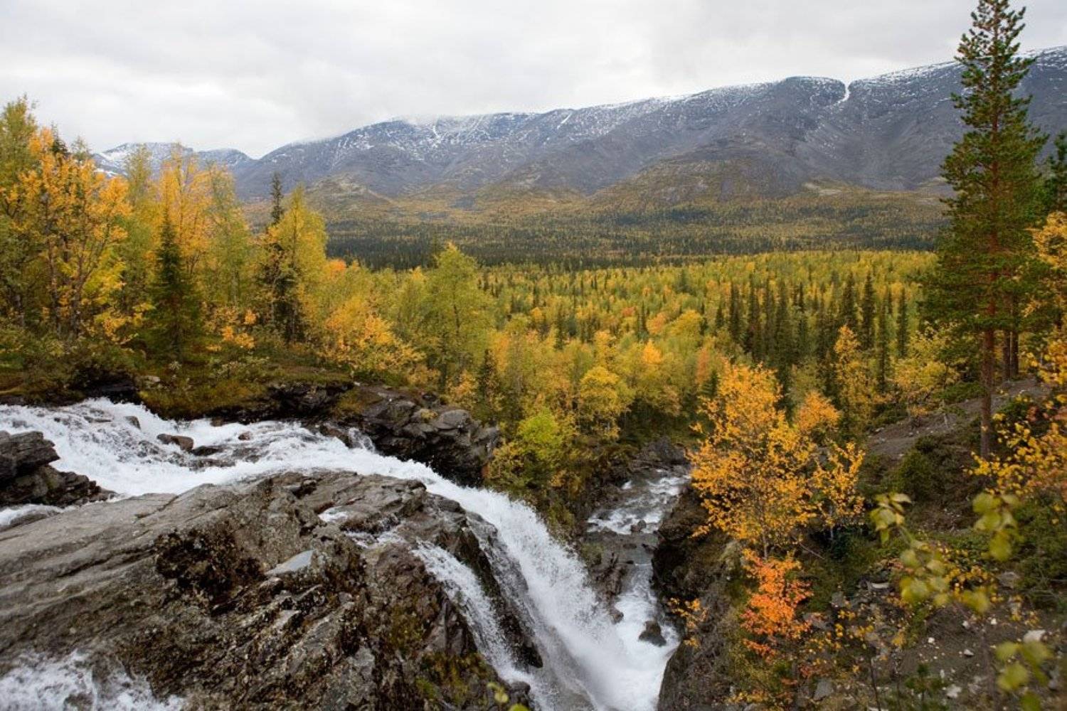 Хибины. Речка Рисйок. Автор: Владимир Кириченко (vlkira) хибины, речка, рисйок, Владимир Кириченко (vlkira)