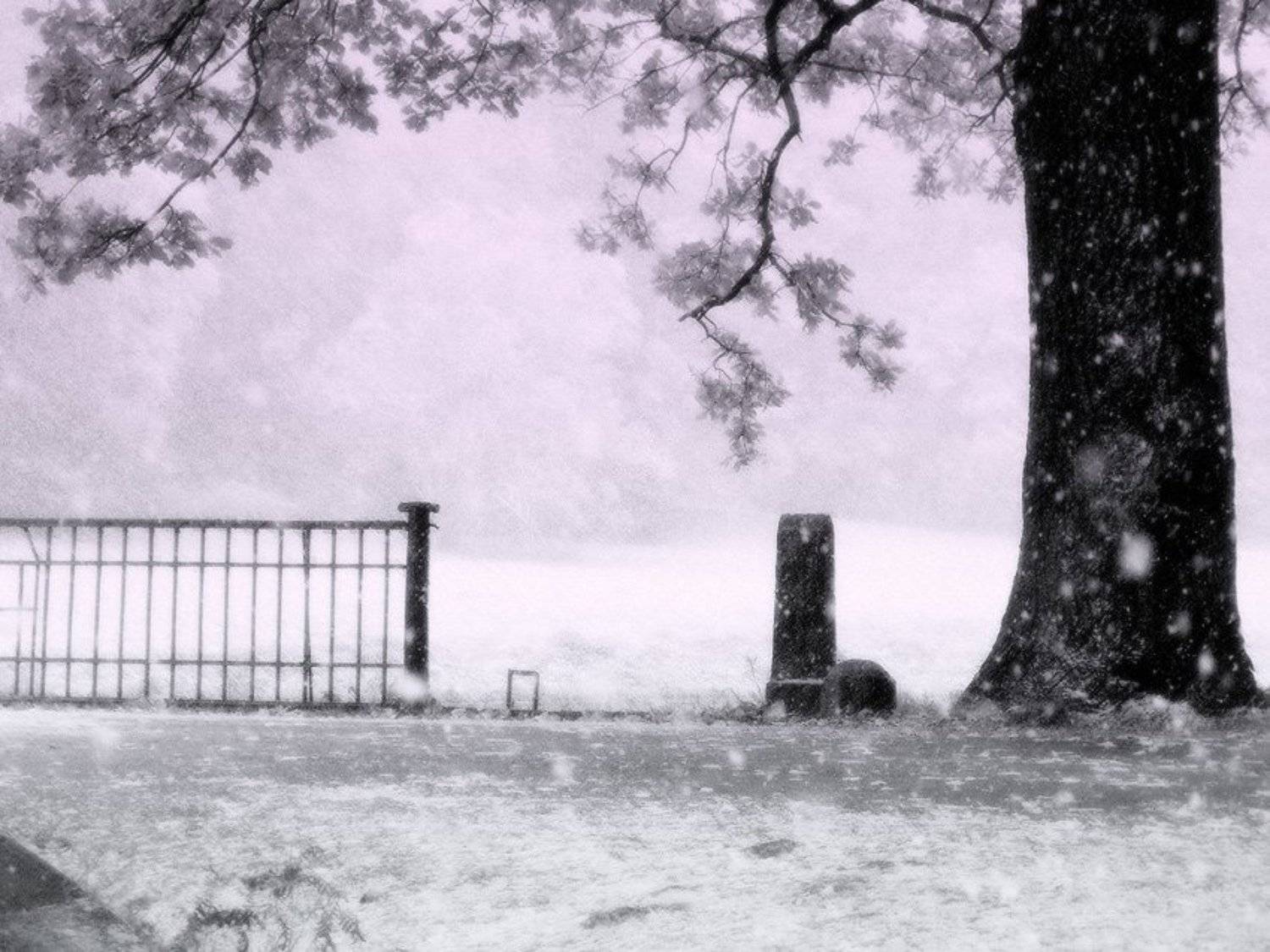 Меланхоличная картина прихода зимы. Автор: Viktor Kalechenkov , Viktor Kalechenkov