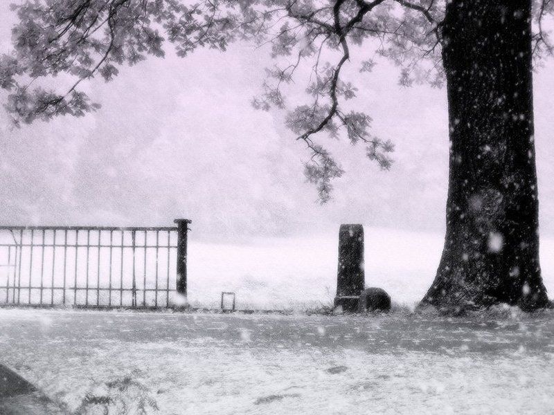 Меланхоличная картина прихода зимыphoto preview