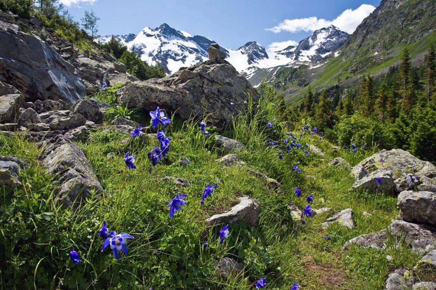 ***. Автор: Dmitriy Egorov алтай, долина верхн. мультинского озера (поперечное), Dmitriy Egorov