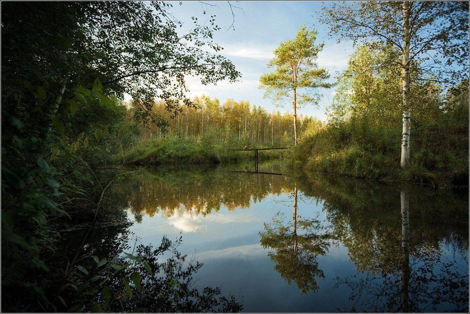 банальный летний пейзаж. Автор: seleznev , seleznev