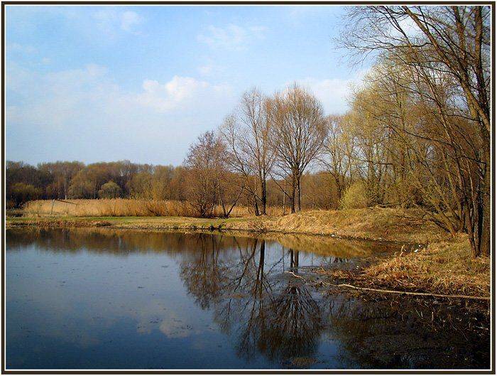 , Юлия Чекмарева