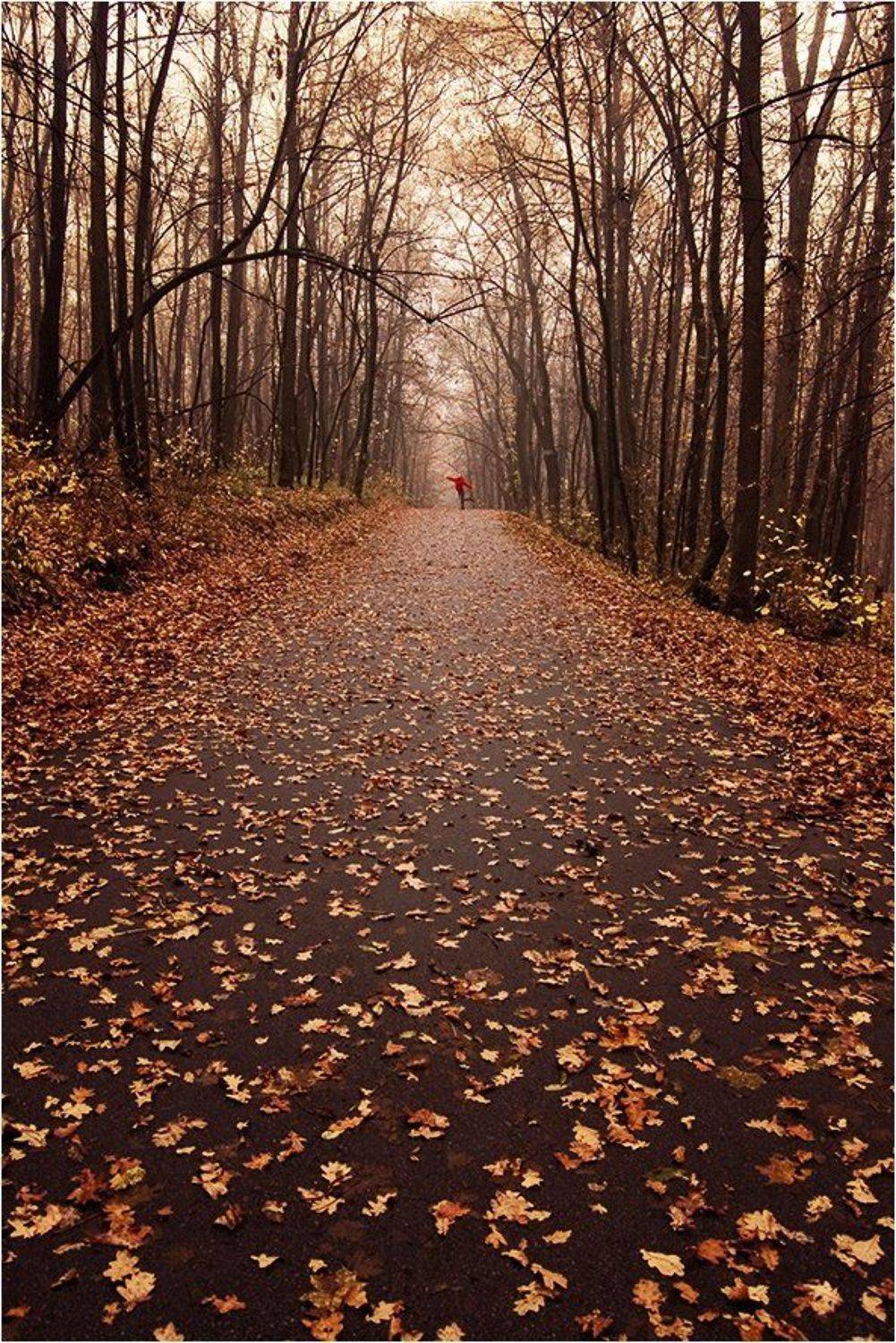 , Срибный Евгений