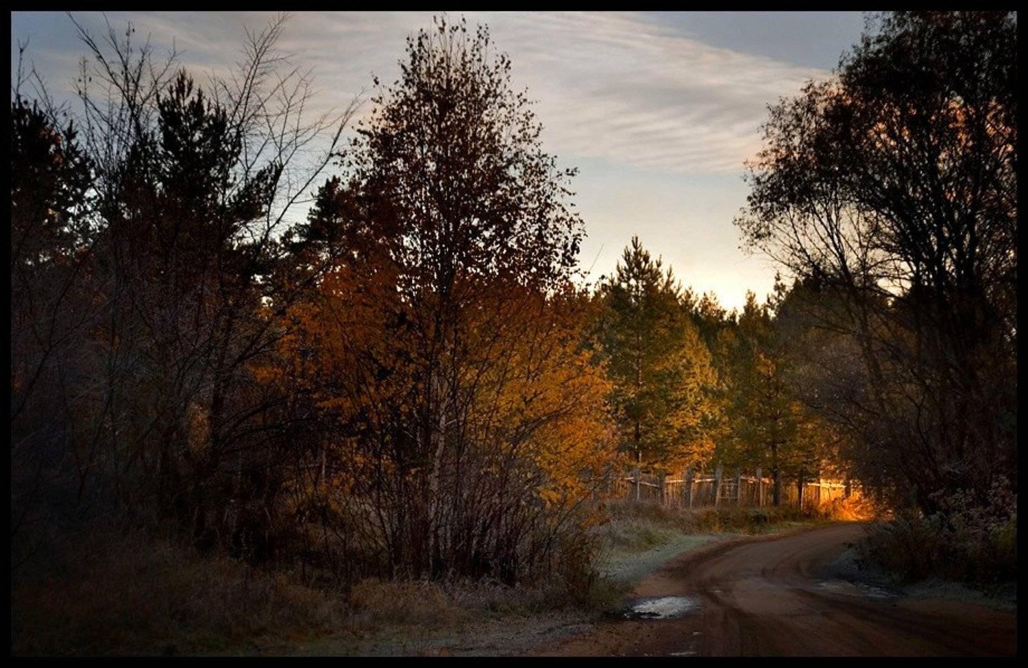 утро, осень, лес, дорога, Самолинов Андрей