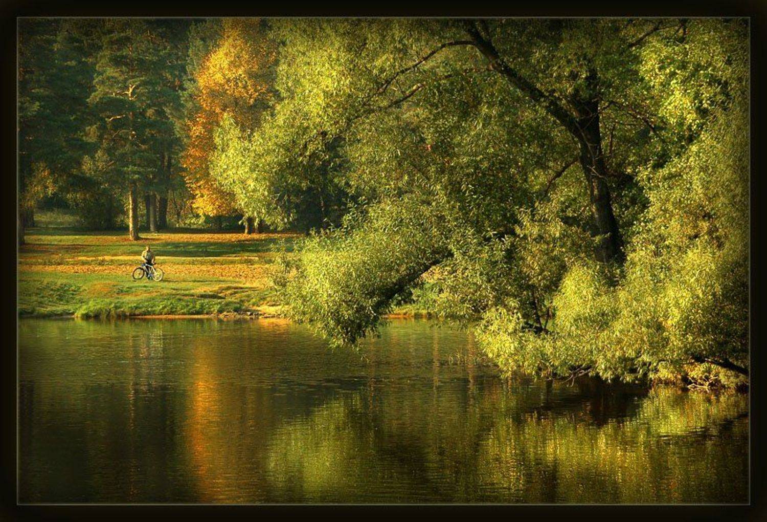 *** Задумчивый велосипедист.. ***. Автор: •**/ASSOL**• , •**/ASSOL**•