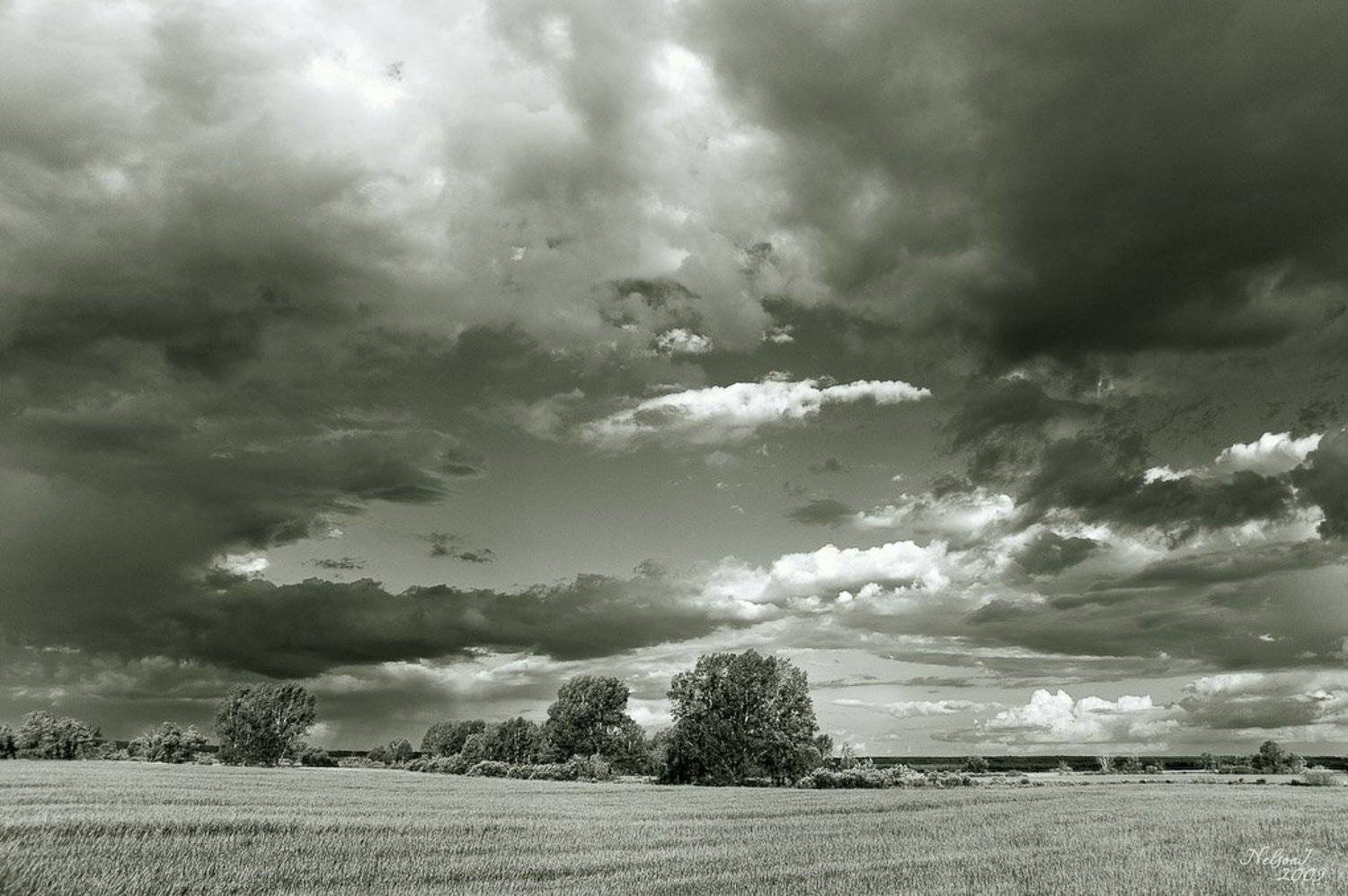 перед дождём. Автор: Igor Nelinov , Igor Nelinov