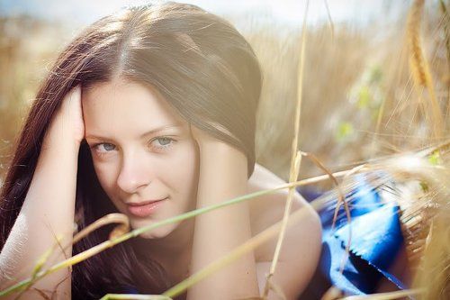 .fields of gold