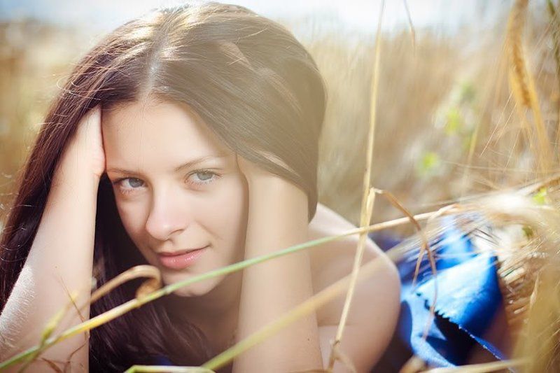 summer,dasha .fields of goldphoto preview