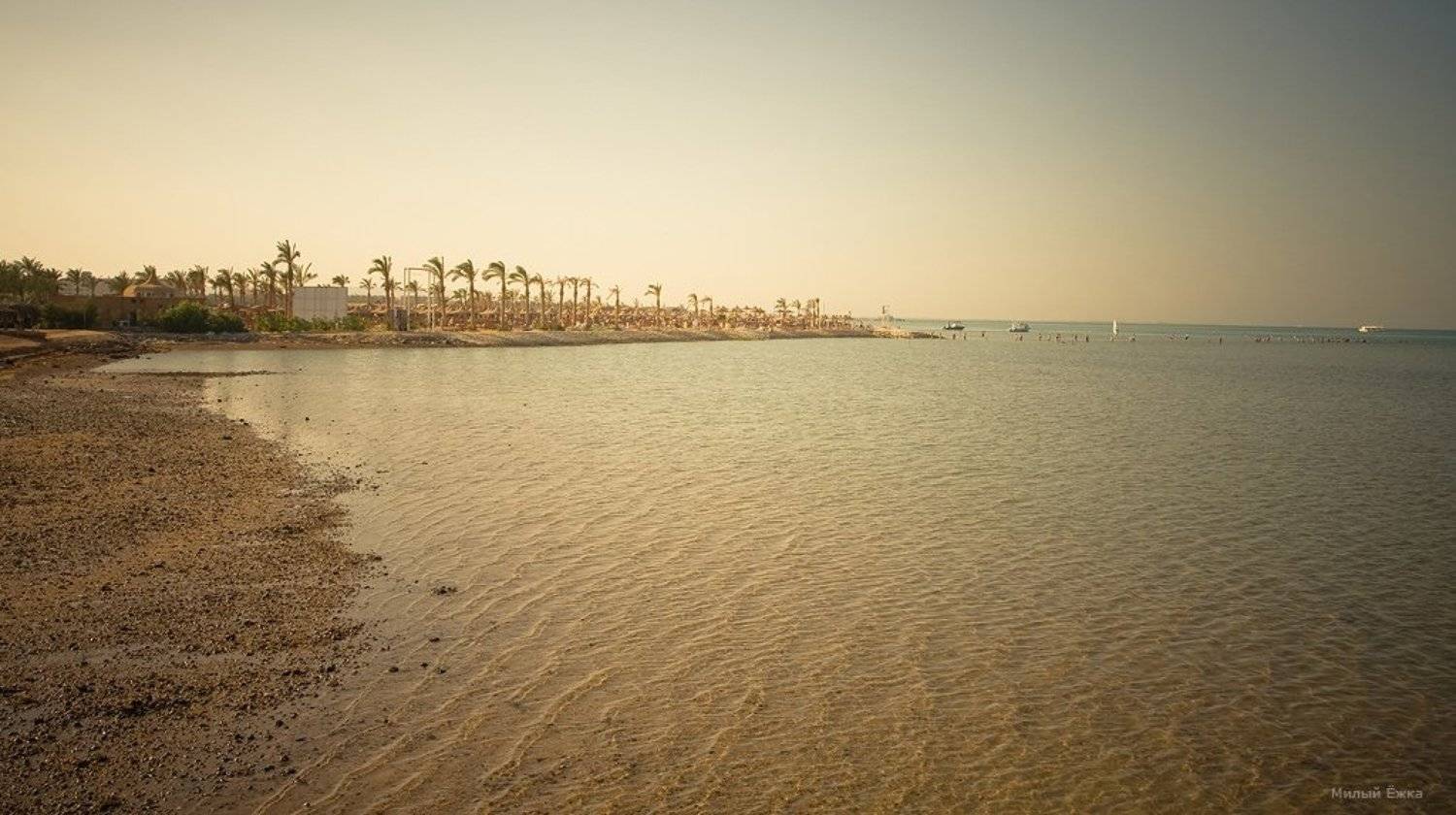 El verano.... Автор: Милый Ёжка египет, Милый Ёжка