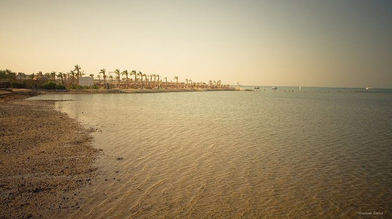 египет El verano...photo preview