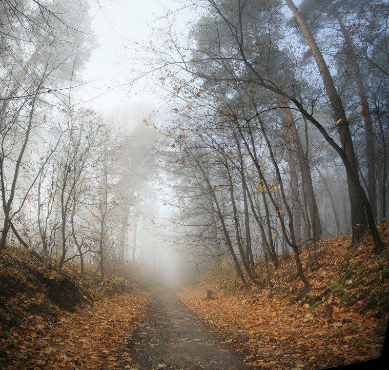 , Эдуард VTORNIK  Николаев