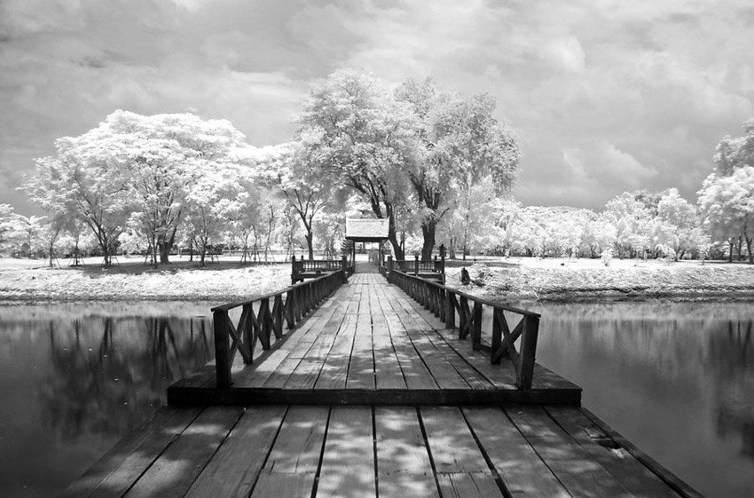 , Токарь Дмитрий