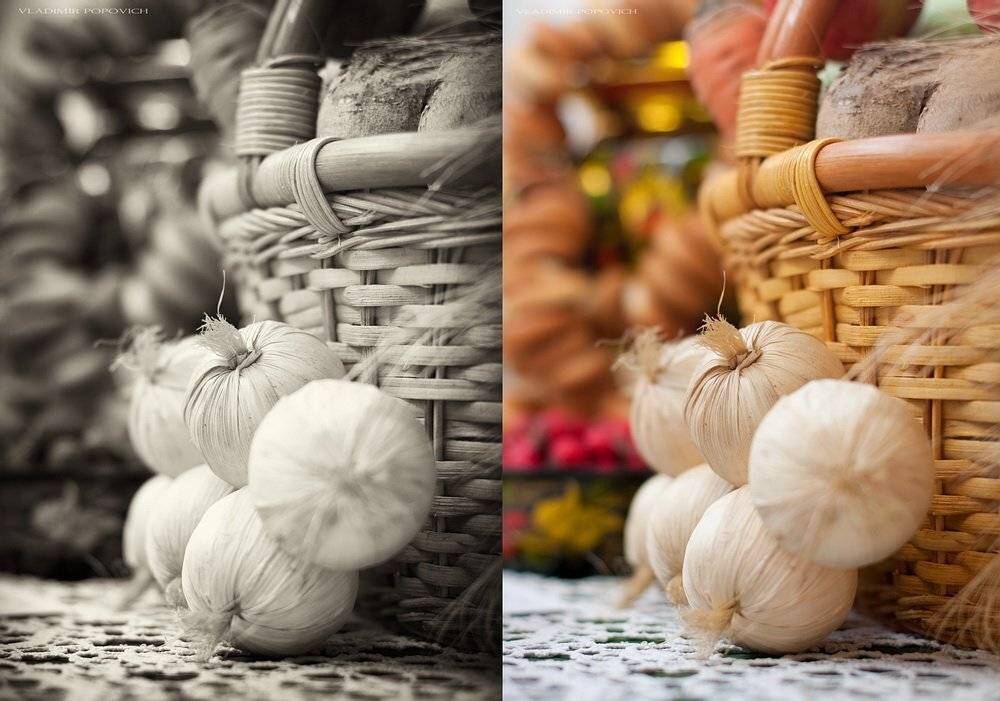 Пробы пера. Автор: Владимир , Владимир