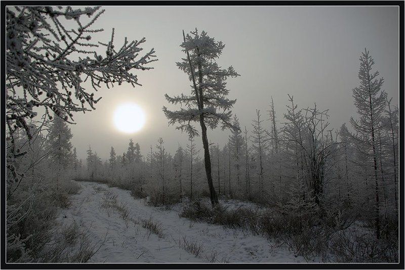 Октябрь Заполярьяphoto preview