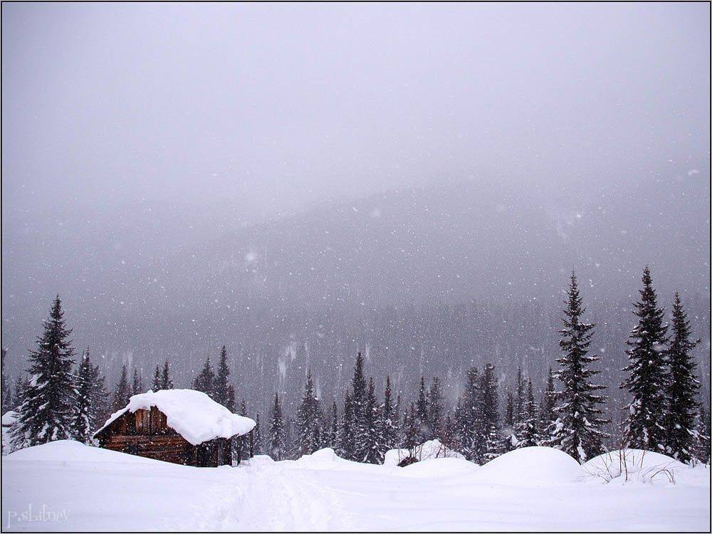 , Павел Сбитнев