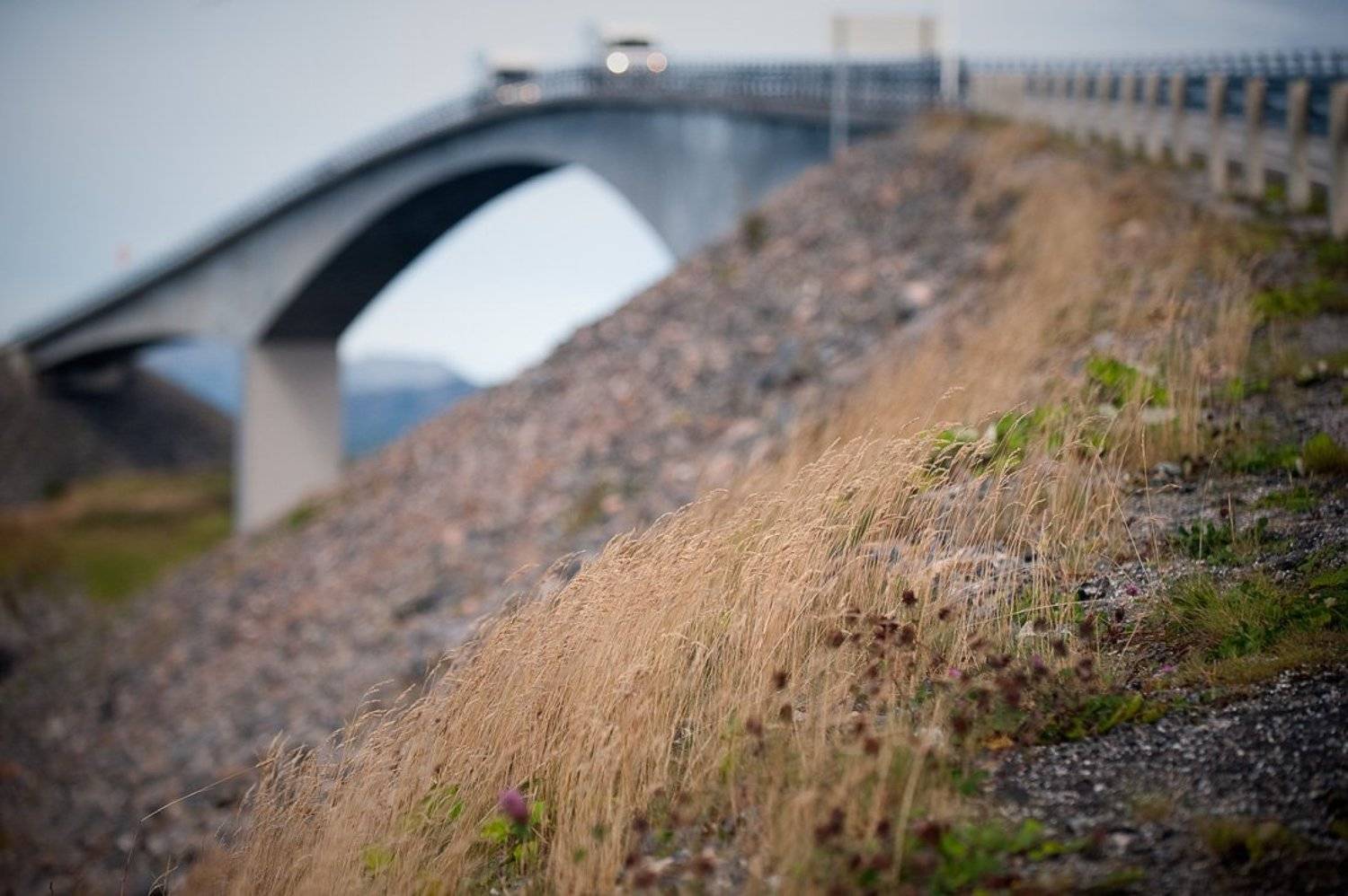 норвегия, Александр Константинов