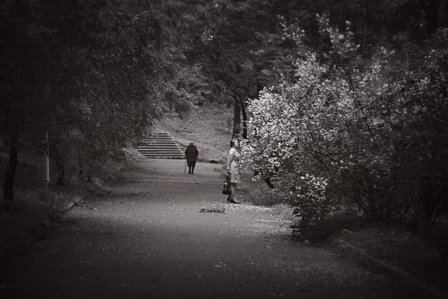 ***. Автор: Данил Сигидин , Данил Сигидин