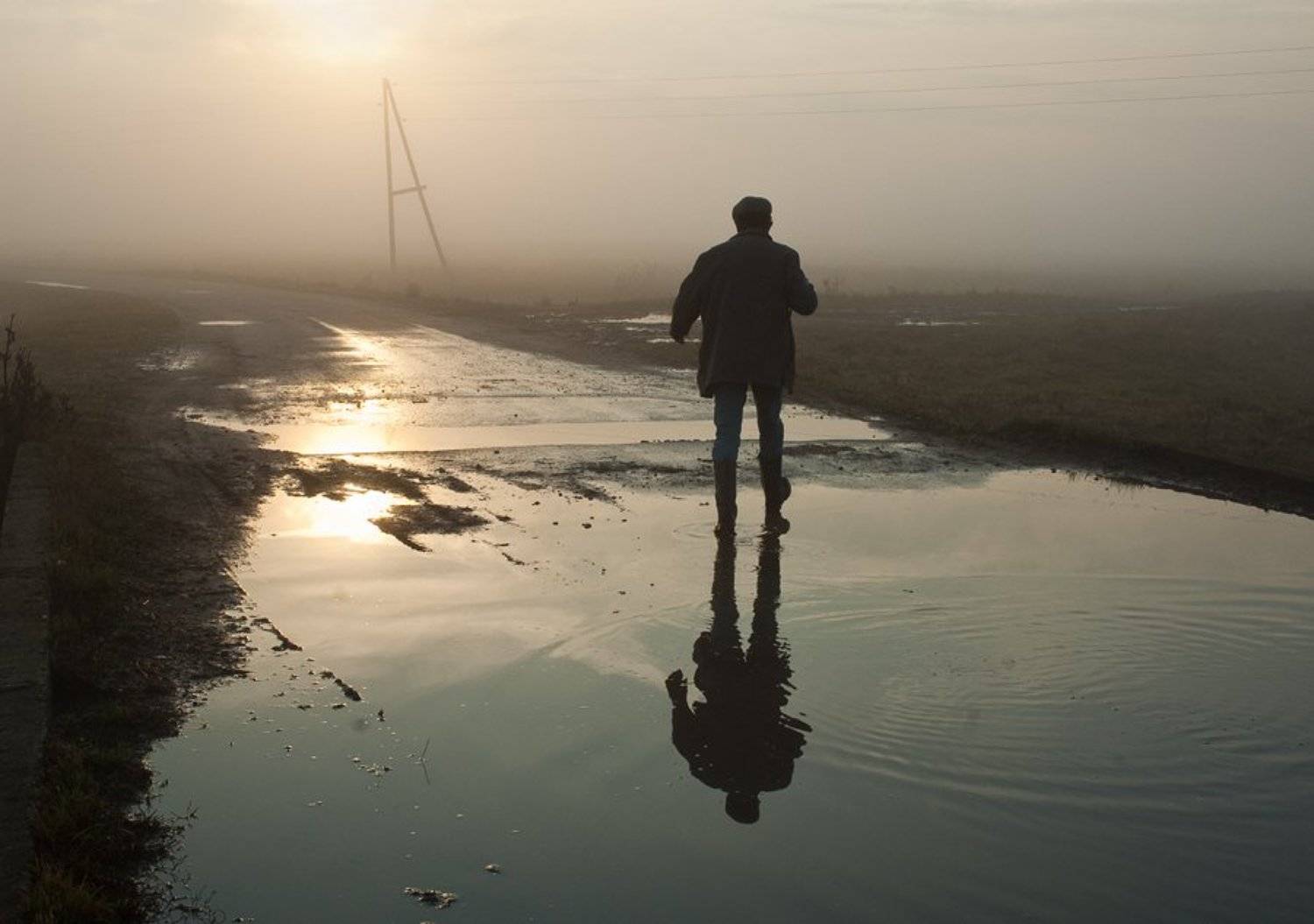 "Доброе утро, господин Нелихов!". Автор: Макс Шамота "доброе утро, господин нелихов!", Макс Шамота