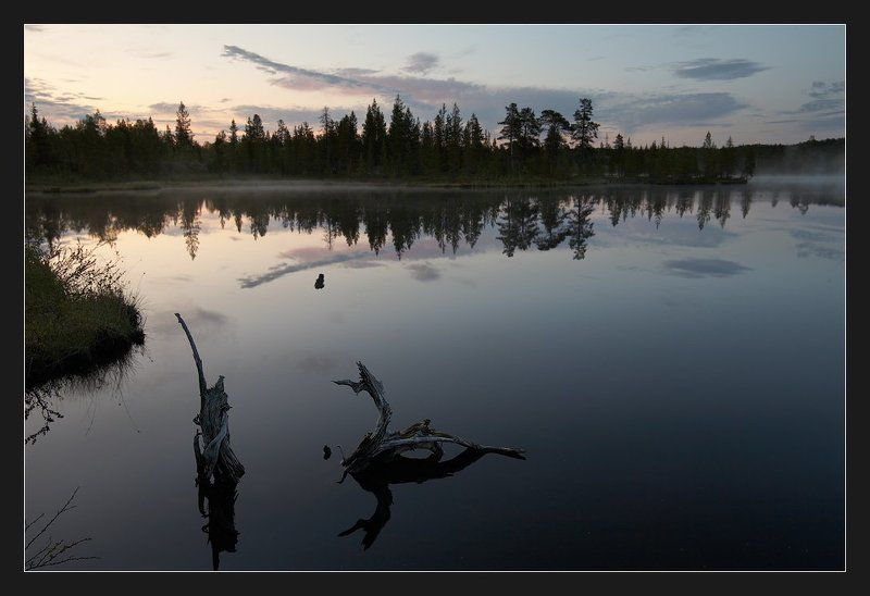 жуткий комарятник, ревда ***photo preview