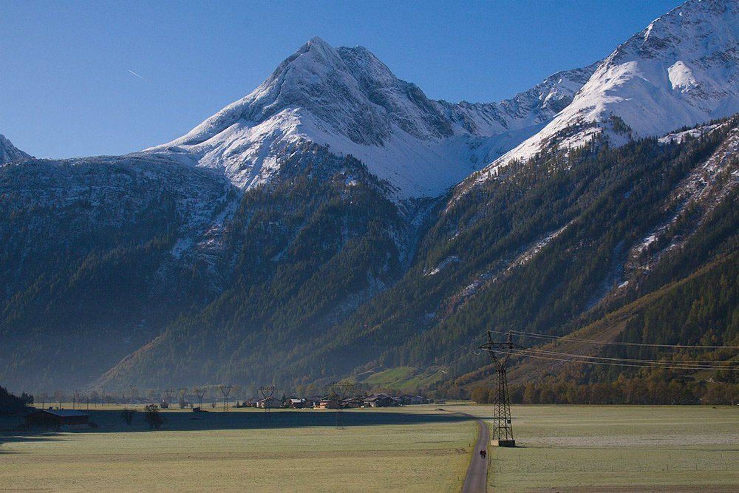 утренняя прогулка. Автор: Владимир Михайлов , Владимир Михайлов