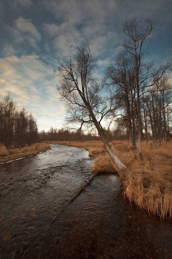 магадан, осень, дукча, Sir Fisher