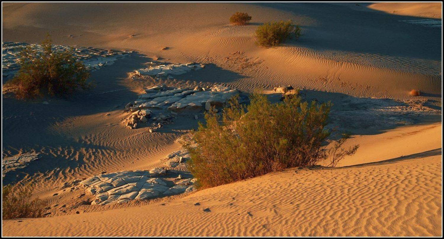 Долгая дорога в дюнах. Автор: Yurma , Yurma