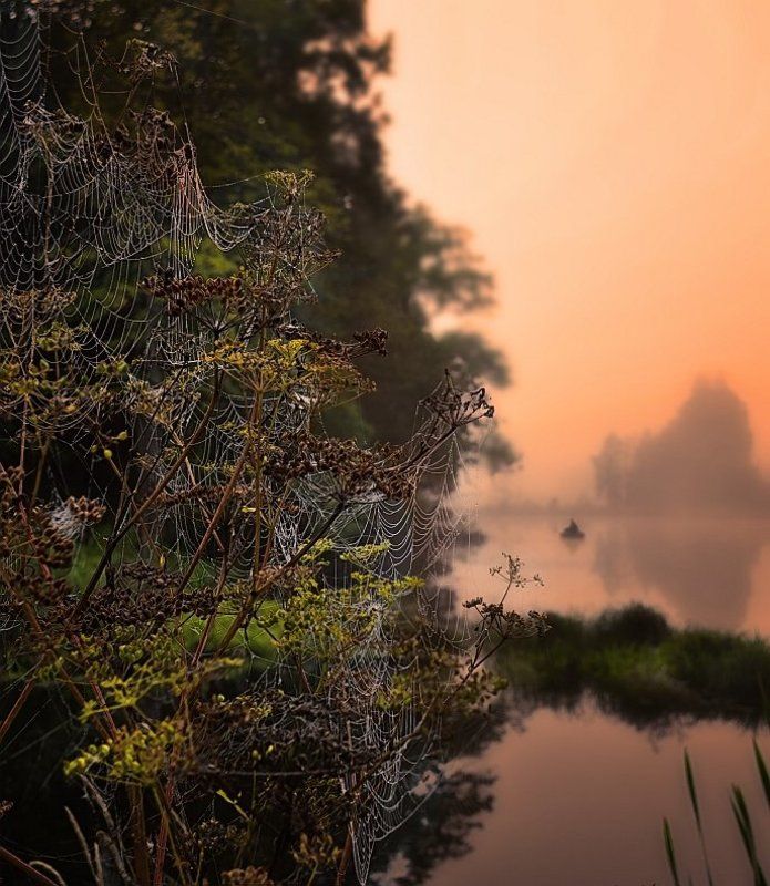 *Сети то мы еще вчера поставили...*photo preview