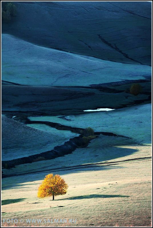 контраст,чатыртау,осень,salman, зима идетphoto preview