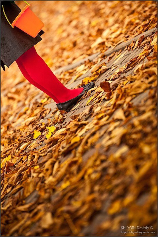 Осенняяphoto preview