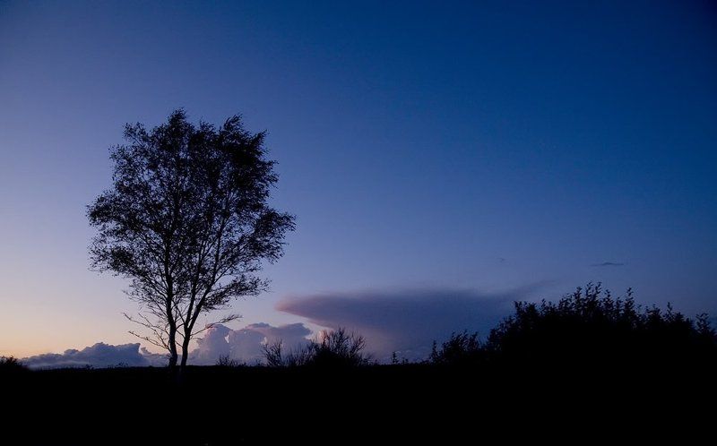 пугачёв,пугачёв,пугачёв,пугачёв,пугачёв,пугачёв,пугачёв,пугачёв,пугачёв,пугачёв, .....\