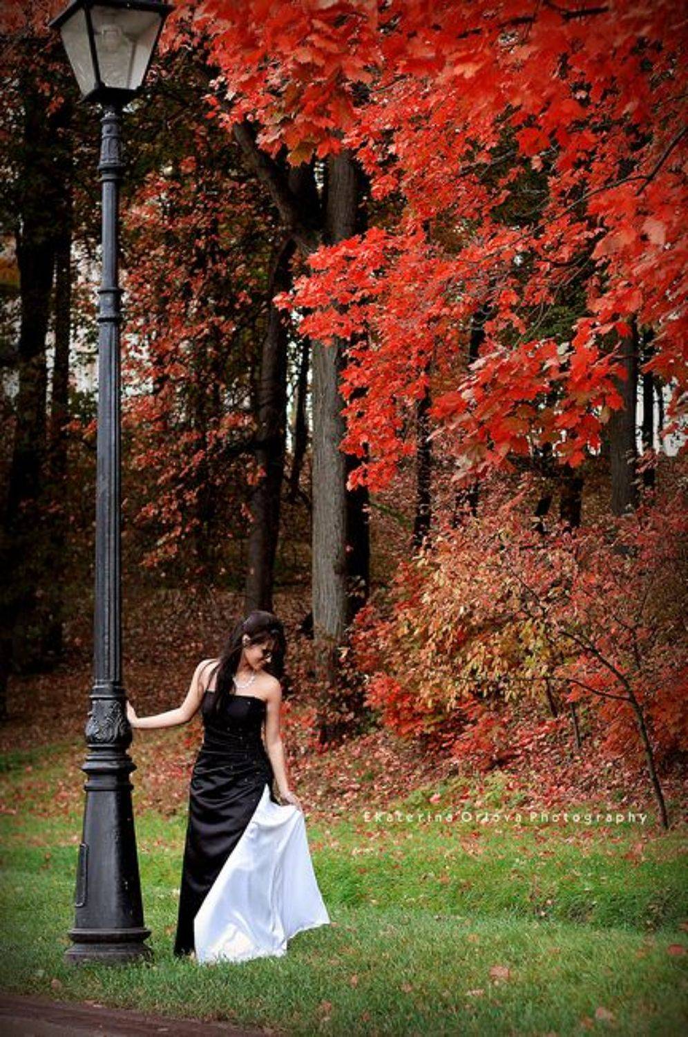 Автор: Екатерина Орлова , Екатерина Орлова