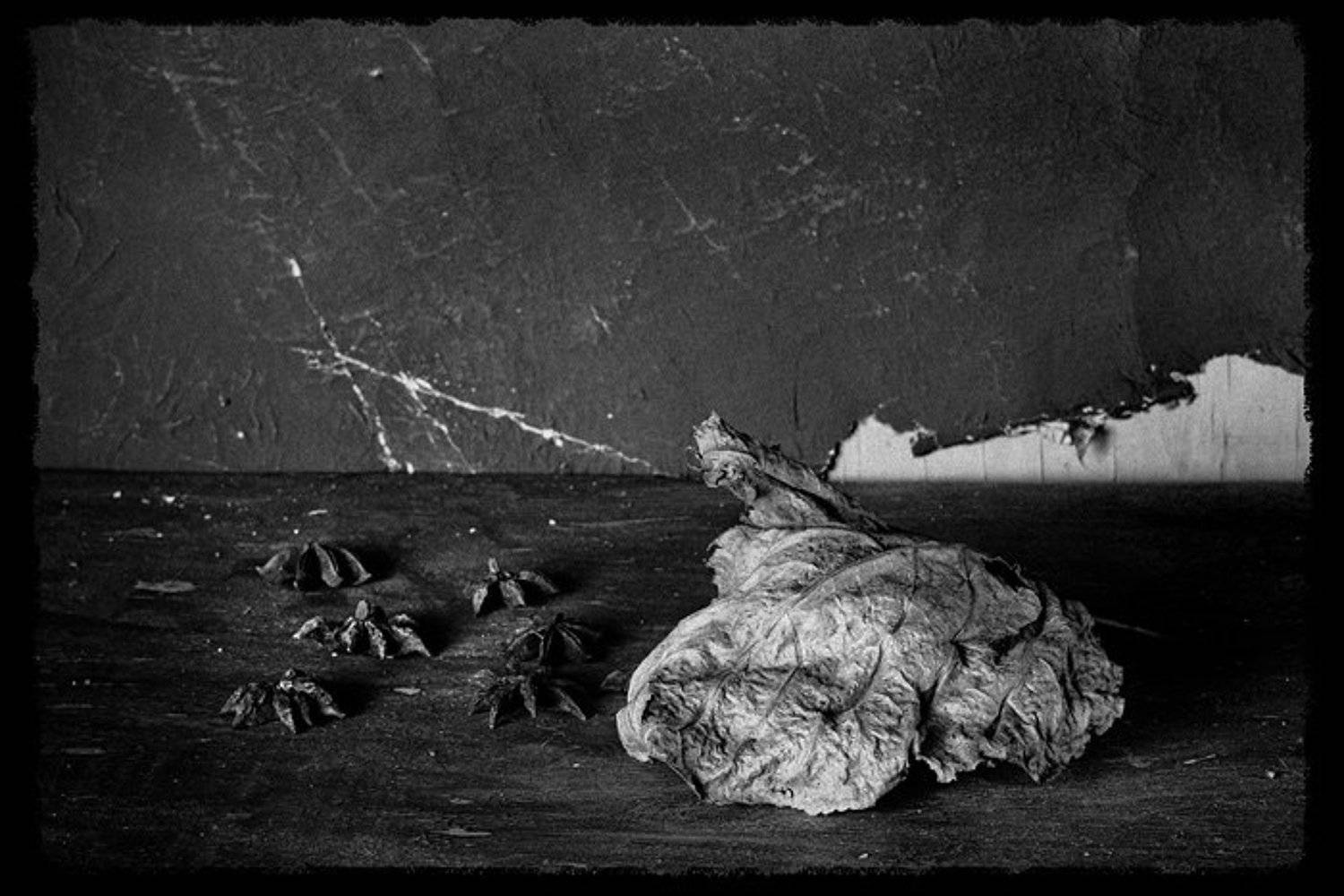 , Владимир Лестровой