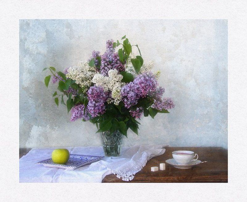 Still Lifephoto preview