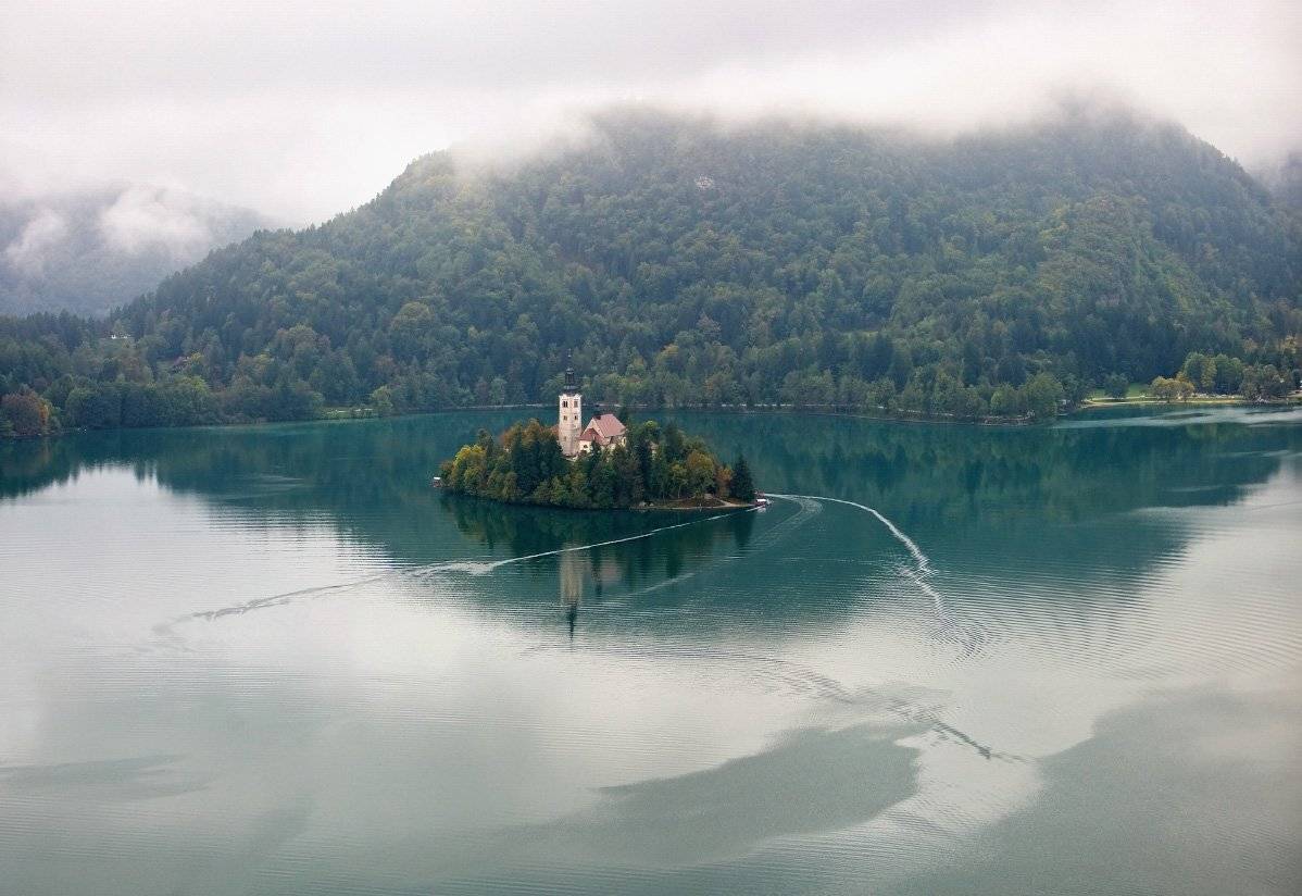 блед, Нетушки