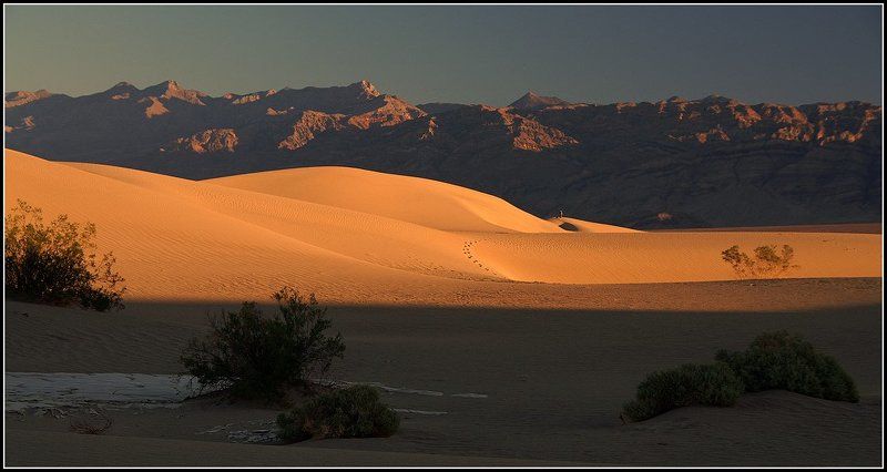 Долгая дорога в дюнах(2)photo preview